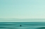 Picture of BEACH IN SAN CLEMENTE, UNITED STATES