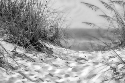 Picture of BEACH PATH