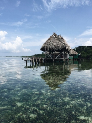 Picture of BOCAS DEL TORO, CHANGUINOLA, PANAMA