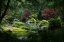 Picture of BOTANICAL GARDENS
