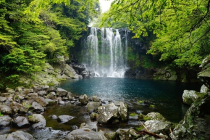 Picture of CHEONJIYEON WATERFALL IN THE JEJU ISLAND, KOREA