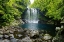 Picture of CHEONJIYEON WATERFALL IN THE JEJU ISLAND, KOREA