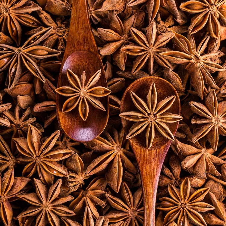 Picture of DRIED ANISE