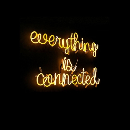 Picture of EVERYTHING IS CONNECTED