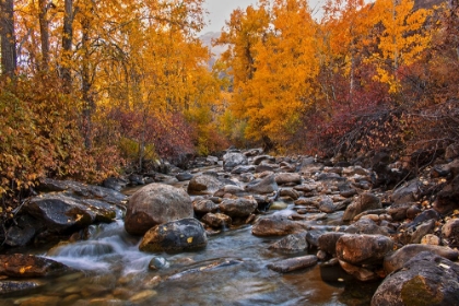 Picture of RUBY MOUNTAINS, HUMBOLDT-TOIYABE NATIONAL FOREST