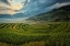 Picture of FIELDS IN CHINA