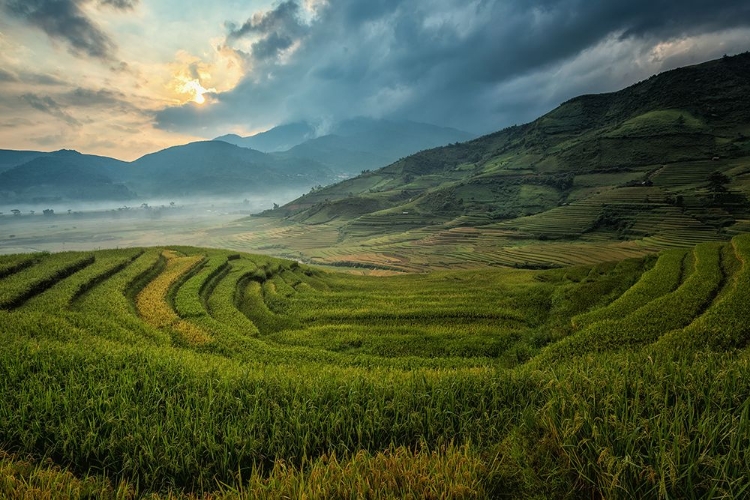 Picture of FIELDS IN CHINA