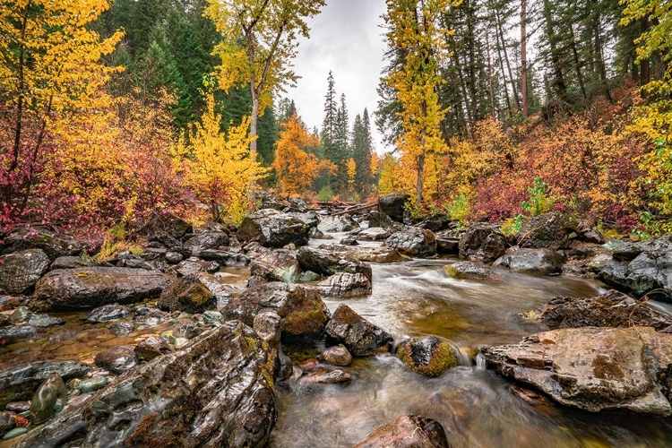 Picture of FLATHEAD NATIONAL FOREST IN MONTANA