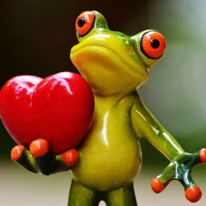 Picture of JUST A FROG WITH A BIG HEART