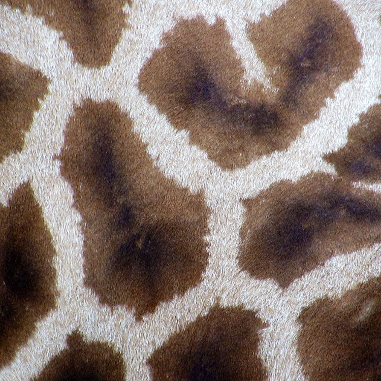 Picture of GIRAFFE FUR