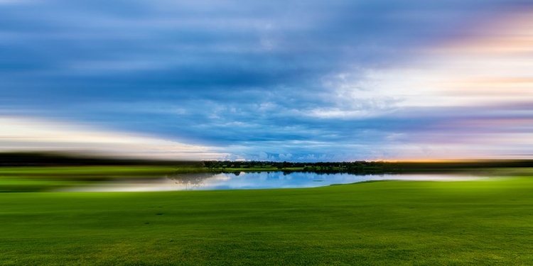 Picture of GREEN GRASS FIELD