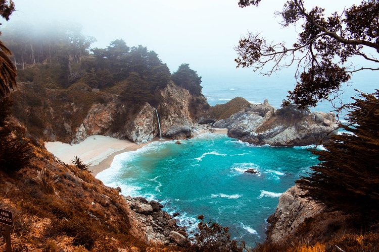 Picture of JULIA PFEIFFER BURNS STATE PARK, BIG SUR