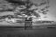 Picture of LIFEGUARD TOWER NUMBER 8 AT THE BRADLEY BEACH