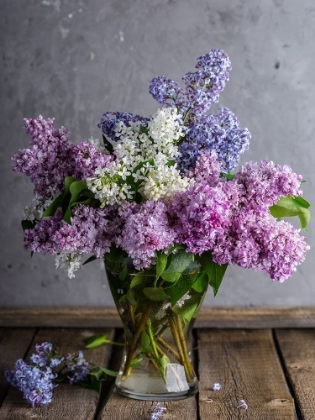 Picture of LILAC STILL LIFE