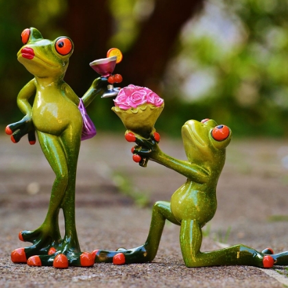 Picture of LOVE STRUCK FROG