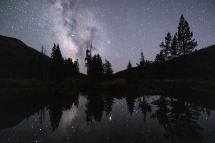 Picture of MILKY WAY REFLECTIONS ON A BEAVER POND