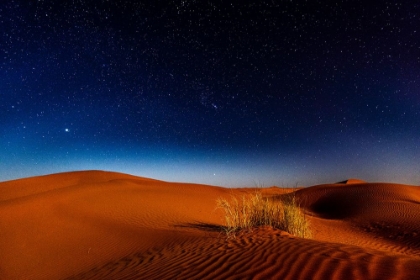 Picture of NIGHT IN THE DESERT