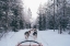 Picture of OFF TO SEE SANTA CLAUSE