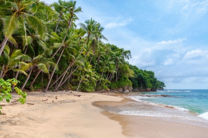 Picture of PLAYA BLANCA, SABOGA, PANAMA