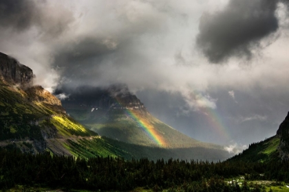 Picture of RAINBOW FROM LOGAN PASS