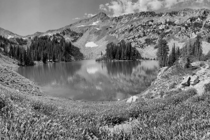 Picture of RED PINE LAKE IN LITTLE COTTONWOOD CANYON