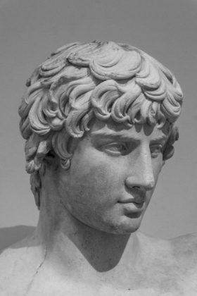 Picture of ROMAN MARBLE BUST OF ANTINOUS