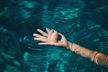 Picture of SEASHELL IN HAND