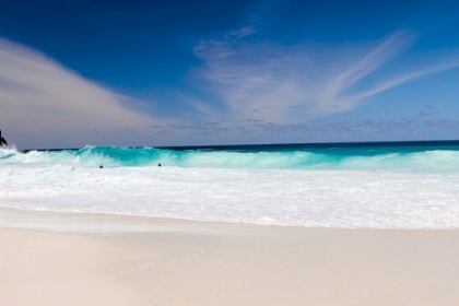 Picture of SEYCHELLES BEACH