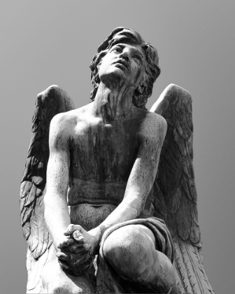 Picture of STATUE OF ANGEL IN FLORENCE