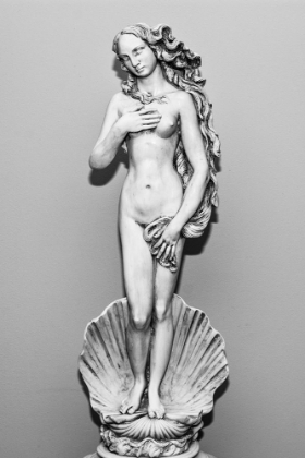 Picture of STATUE OF VENUS