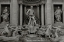 Picture of STATUE TREVI FOUNTAIN