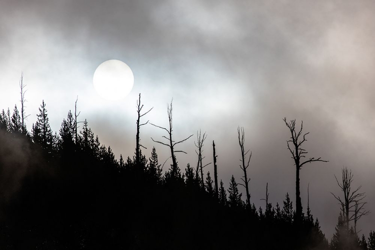 Picture of STEAMY SUNRISE OVER ROARING MOUNTAIN