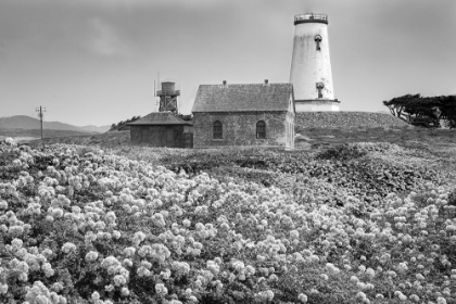 Picture of THE PIEDRAS BLANCAS LIGHT STATION, CALIFORNIA