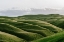 Picture of THE ROLLING HILLS