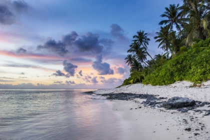 Picture of TROPICAL BEACH SUNSET I