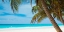 Picture of TROPICAL PARADISE