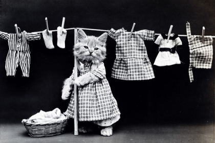 Picture of WASHING DAY
