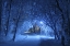 Picture of WINTER TRAIL