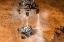Picture of ARTIST CONCEPT DEPICTS THE MARS CURIOSITY ROVER TOUCHING DOWN