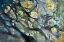 Picture of LAKE MACKAY - WESTERN AUSTRALIA VIEWED FROM SPACE