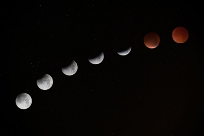 Picture of THE MOON TURNING RED DURING A LUNAR ECLIPSE AT TELSCOMBE CLIFFS