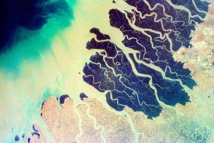 Picture of THE GANGES DELTA LIE IN BOTH BANGLADESH AND WEST BENGAL - INDIA