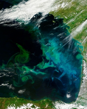 Picture of PHYTOPLANKTON BLOOM IN THE BAY OF BISCAY VIEWED FROM SPACE