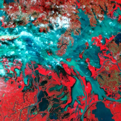 Picture of POYANG LAKE - CHINA VIEWED FROM SPACE