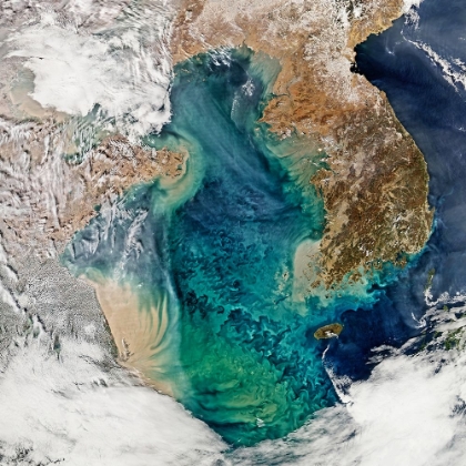 Picture of REMOTE SENSING OF OCEAN COLOR IN THE YELLOW SEA FROM SPACE