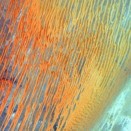Picture of RIBBONS OF SAHARAN SAND DUNES FROM SPACE