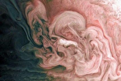 Picture of ROSE-COLORED JUPITER