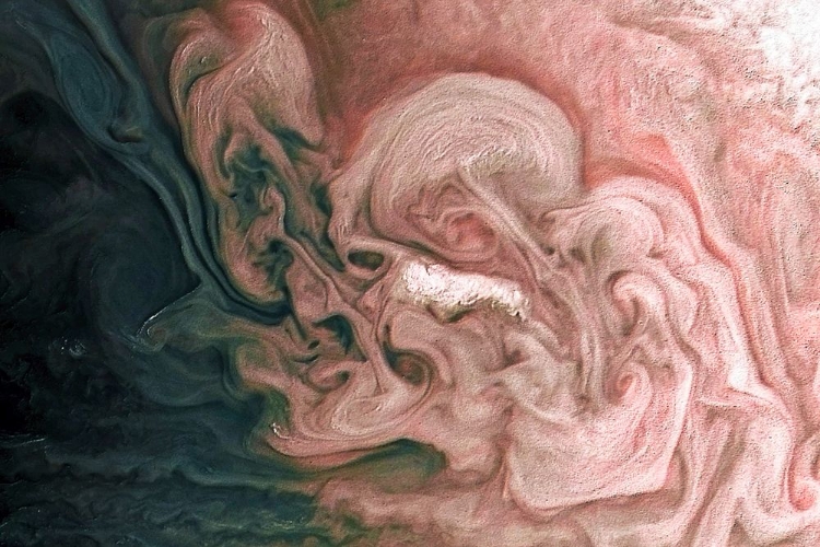 Picture of ROSE-COLORED JUPITER