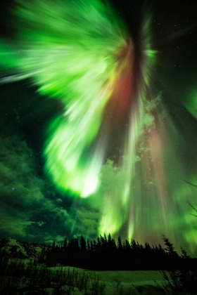 Picture of ST. PATRICKS AURORA - A GREEN AURORA TAKEN AT DONNELLY CREEK - ALASKA