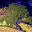 Picture of THE LENA RIVER IS ONE OF THE LARGEST RIVERS IN THE WORLD